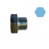 Tapón Aceite Motor